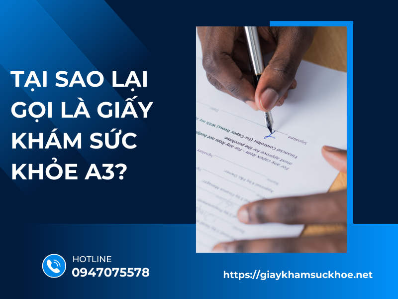Cách ghi giấy khám sức khỏe A3 đúng chuẩn các phần nội dung