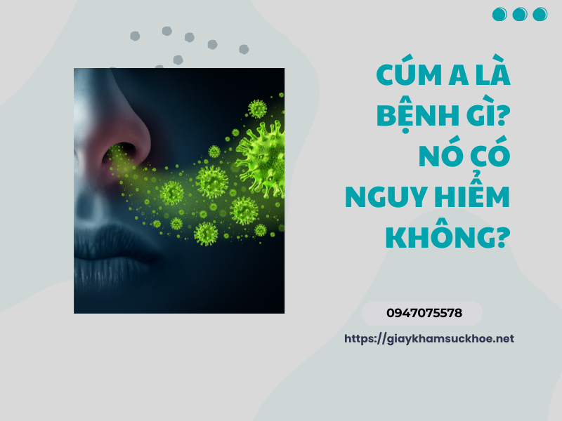 Cúm A là bệnh gì? Nó có nguy hiểm không?