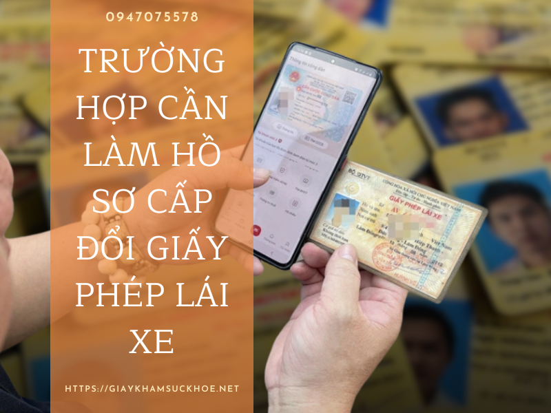 Hồ sơ cấp đổi giấy phép lái xe trực tiếp gồm những gì? Hướng dẫn chi tiết