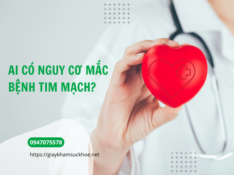 Ai có nguy cơ mắc bệnh tim mạch? Cách nhận biết và phòng tránh