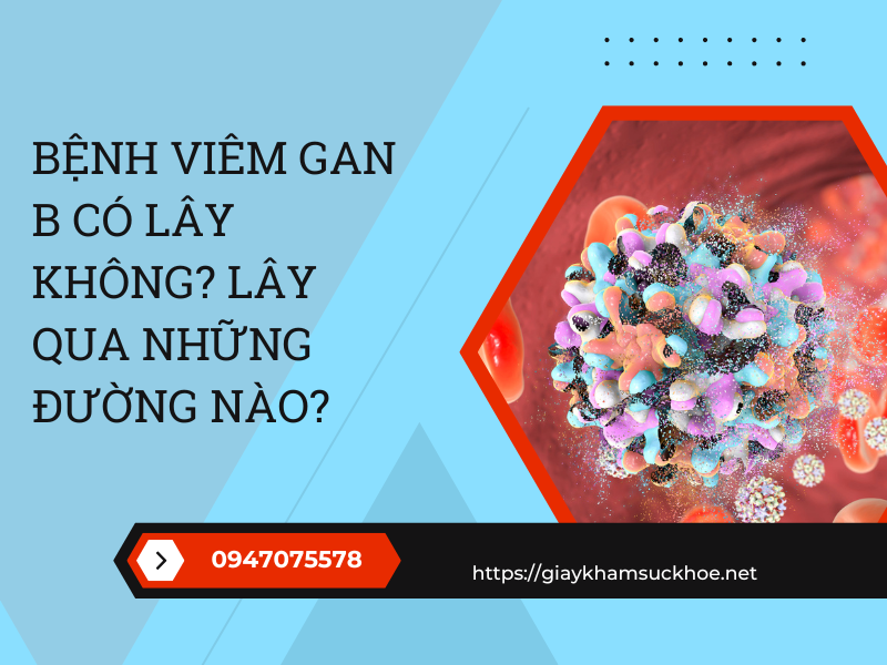 Những câu hỏi về viêm gan B mà bạn cần phải biết!